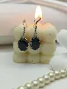 Black Onyx Stone Earring